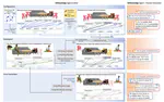 ACKnowledge: A Computational Framework for Human Compatible Affordance-based Interaction Planning in Real-world Contexts