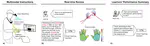 Designing LLM-Powered Multimodal Instructions to Support Rich Hands-on Skills Remote Learning: A Case Study with Massage Instructors and Learners